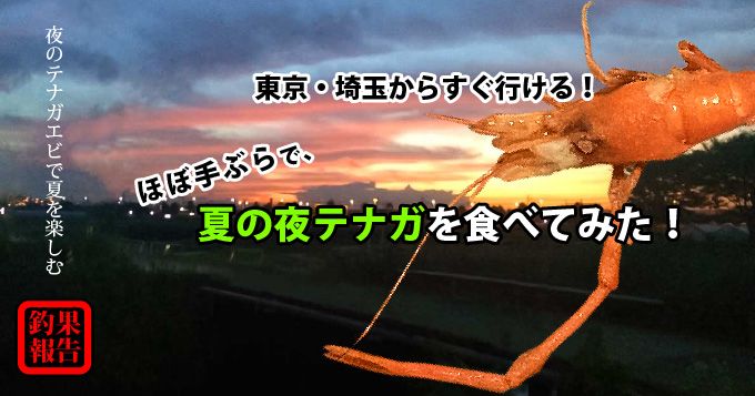 釣果報告 東京 埼玉から30分 ほぼ手ぶら千葉で夏の夜テナガを食べてみた
